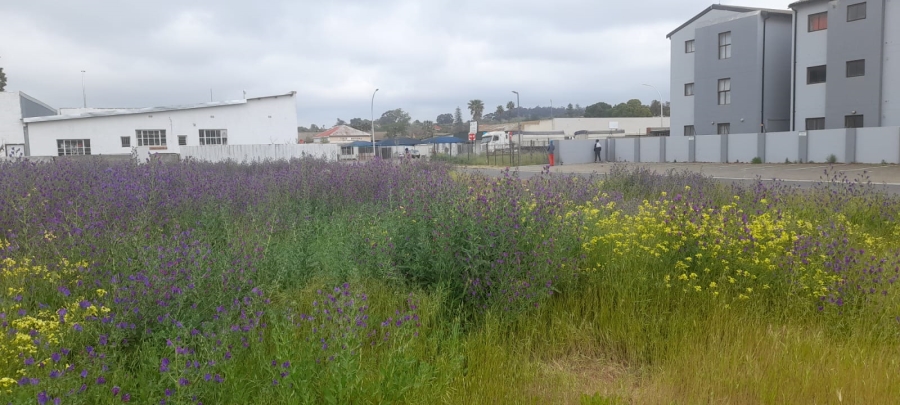  Bedroom Property for Sale in Moorreesburg Western Cape